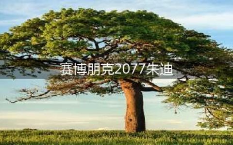 赛博朋克2077朱迪位置介绍