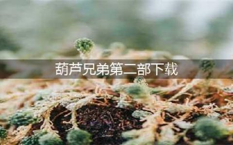 葫芦娃2官网在哪下载 最新官方下载安装地址