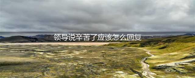 领导说“辛苦了”，该怎么巧妙回复？高情商员工，都懂这4个策略(领导说辛苦了应该怎么回复)