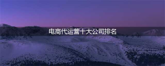 电商代运营十大公司排名(电商代运营十大公司排名)
