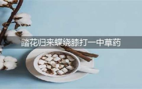 食物语踏花回来蝶绕膝答案是什么 踏花归来蝶绕膝答案分享(踏花归来蝶绕膝打一中草药)