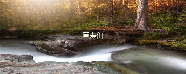 公主家全新升级 | 黄寿仙：每个女孩，都应是被捧在手心的公主(黄寿仙)