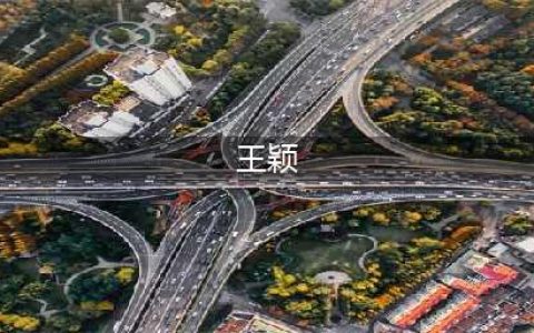 王思聪的前女友们(王颖)