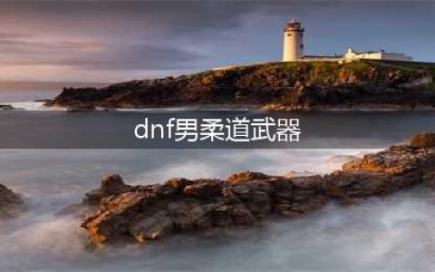 《DNF》105级胜负之役臂铠男柔道家装备属性详解(dnf男柔道武器)