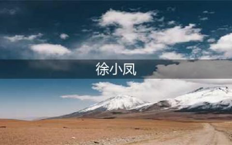 徐小凤的“消失”，是娱乐圈的“悲哀”(徐小凤)