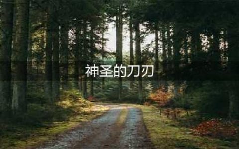 艾尔登法环神圣的刀刃怎么获得 神圣刀刃获取攻略