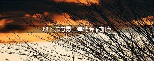 《DNF》女弹药专家110级刷图加点详解(地下城与勇士弹药专家加点)