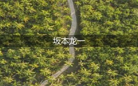 坂本龙一 | 不羁地长大，优雅地老去(坂本龙一)