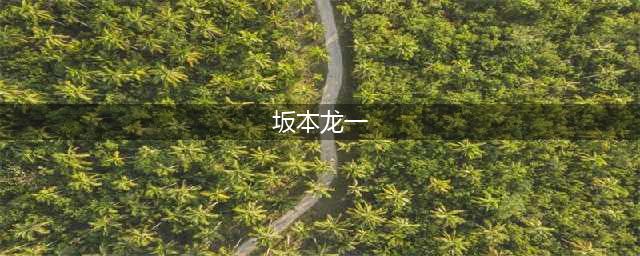 坂本龙一 | 不羁地长大，优雅地老去(坂本龙一)