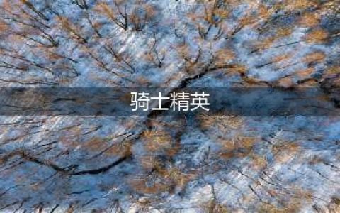 《元气骑士》精英怪物出现概率增加有什么技巧 挑战因子精英怪增加效果一览(骑士精英)