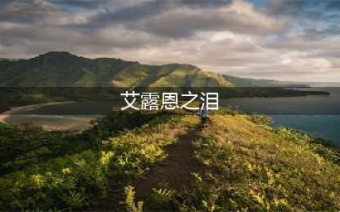 《魔兽世界》怀旧服艾露恩之泪在哪