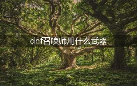 dnf召唤师110级用什么武器 dnf召唤师110级武器推荐