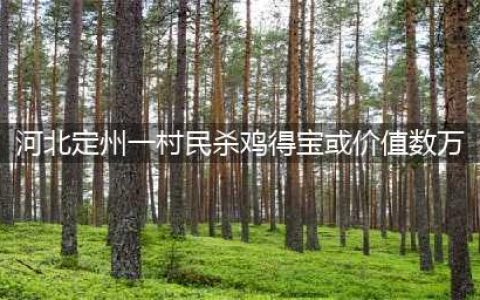 河北定州一村民杀鸡得宝：鸡肚里掏出一块黄色肉疙瘩 或价值数万(河北定州一村民杀鸡得宝或价值数万)