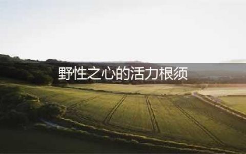 魔兽怀旧服野性之心的活力根须属性一览(野性之心的活力根须)