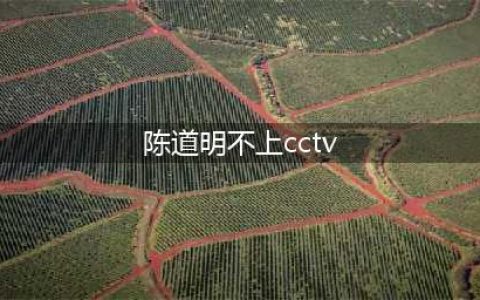 陈道明：责任是男人的脊梁(陈道明不上cctv)