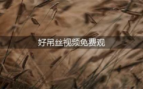 老司机必备的十大免费在线观影网站(好吊丝视频免费观)