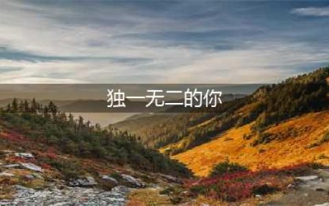 儿童绘本故事推荐《独一无二的你》(独一无二的你)
