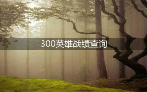 《300英雄》怎么看战绩 战绩查询在哪(300英雄战绩查询)