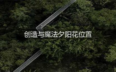 《创造与魔法》夕阳花位置一览 夕阳花在哪里