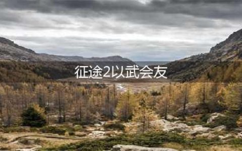 征途2以武会友任务怎么过 深度解析以武会友任务通关流程(征途2以武会友)