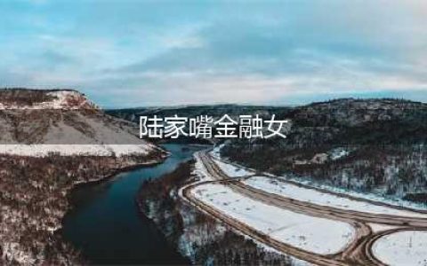 28岁被确诊淋巴瘤晚期，上海陆家嘴金融女做了这7件事(陆家嘴金融女)