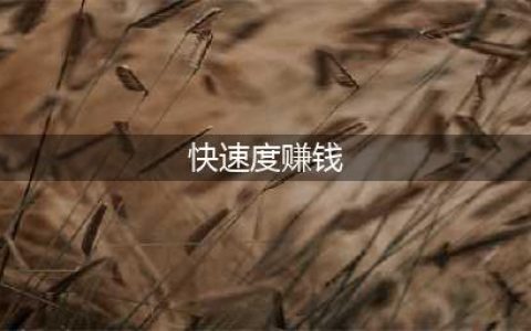 《荒野大镖客2》怎么快速度赚钱 快速度赚钱方法介绍(快速度赚钱)