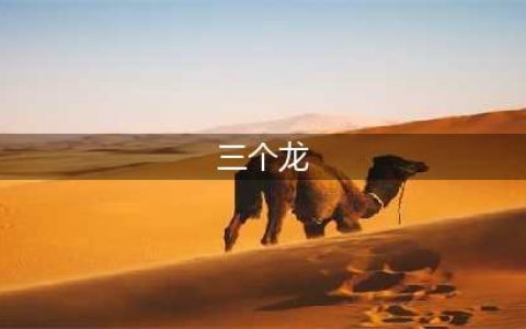 三个龙是什么梗 龘字真正意义！(三个龙)