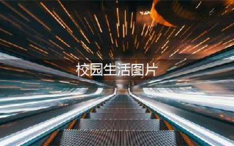 封闭不封爱，速览校园生活图鉴~(校园生活图片)