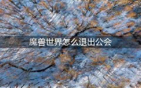 魔兽世界公会退出步骤详解