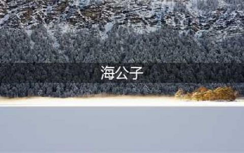 聊斋故事：陶瓷动画《海公子》光怪陆离的神奇之旅(海公子)