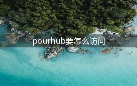 如何确保成年人才能访问的成人网站？(pourhub要怎么访问)