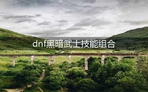 《dnf》黑暗武士技能组合(dnf黑暗武士技能组合)