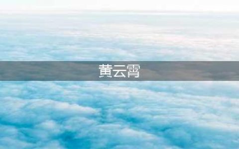 《我是歌手》黄霄云的操作引起观众愤怒(黄云霄)