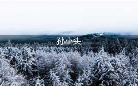 带你玩转“孙小头”：孙小头常见版本区分(孙小头)