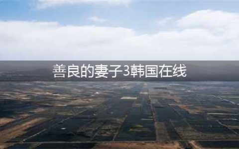 韩国经典电影善良的妻子揭秘畸形的爱情背后隐藏了什么？(善良的妻子3韩国在线)