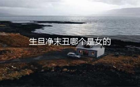 《诛仙》手游文曲初试答案 生旦净末丑中哪个专指女性角色(生旦净末丑哪个是女的)