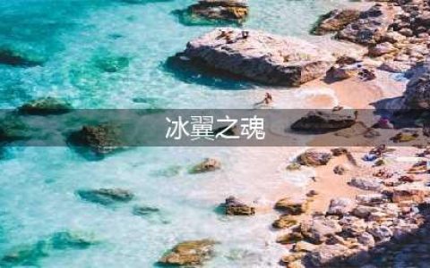 《DNF手游》宠物冰翼之魂怎么样 冰翼之魂属性介绍(冰翼之魂)
