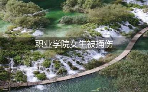 职业学院女生被捅伤 校外人员潜入女生宿舍行凶(职业学院女生被捅伤)