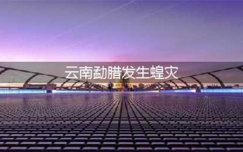 云南勐腊县发生蝗灾受灾面积达1214亩，为境内虫源(云南勐腊发生蝗灾)