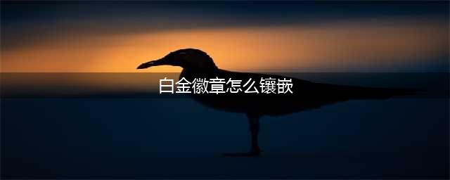 《dnf》白金徽章怎么镶嵌 白金徽章镶嵌教程攻略(白金徽章怎么镶嵌)