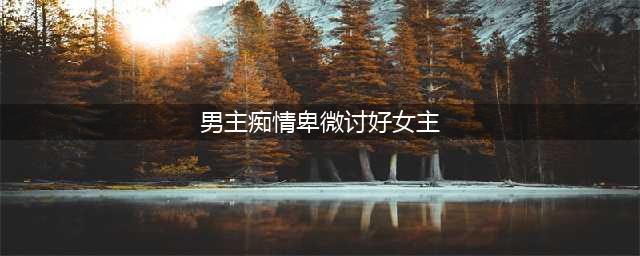 5本男主爱得卑微的小说，女主对他一点点好，他就各种欢喜满足~(男主痴情卑微讨好女主)