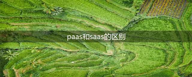 SaaS、PaaS和IaaS的区别(paas和saas的区别)