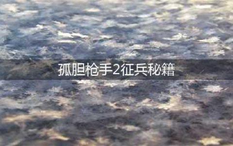 《孤胆枪手2征兵》秘籍有哪些 秘籍大全(孤胆枪手2征兵秘籍)