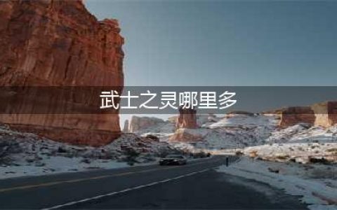 阴阳师武士之灵最多刷新点介绍