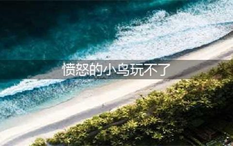 愤怒的小鸟:进化玩不了怎么办 愤怒的小鸟:进化黑屏闪退解决教程