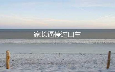 家长逼停过山车:因女儿偷偷尝鲜 未发生故障(图)(家长逼停过山车)
