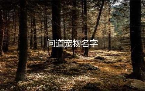 《问道》不能修改宠物名字怎么办 宠物名字不能修改解决办法一览(问道宠物名字)