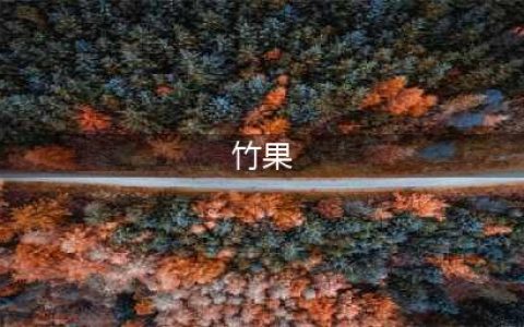 原来竹子也有果实，50年才结一次果，口感绵密，还十分可口？(竹果)