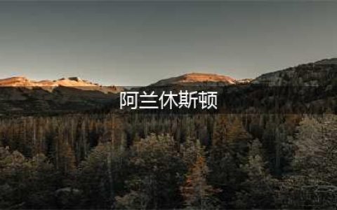 《NBA2K18》紫水晶阿兰休斯顿属性分析(阿兰休斯顿)