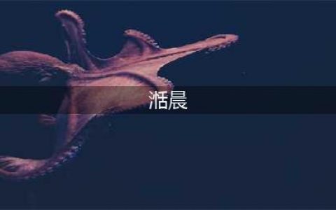 龙宝宝取名测名：象征着平安如意的女孩名字，健康吉祥、幸福美好(湉晨)